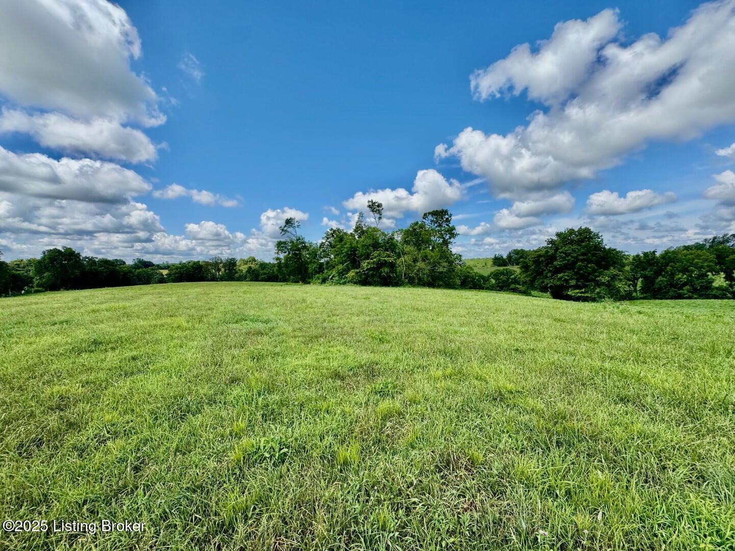 534 Long Lick Lane Springfield, KY 40069 - Photo 27 of 28 IMG_3412 (Large)