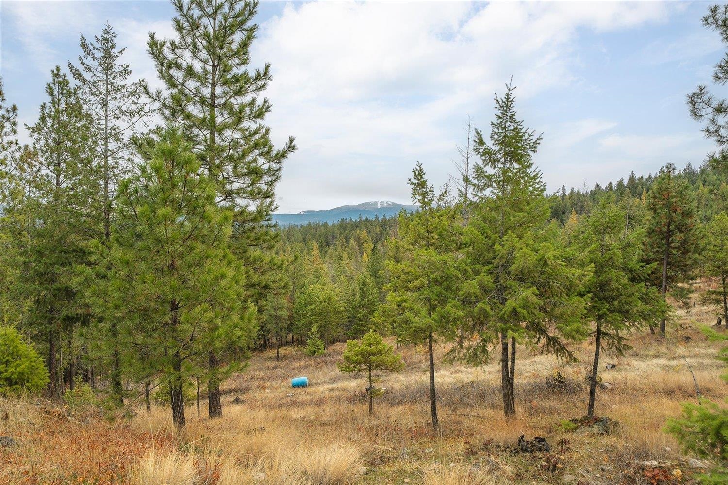 36022 North Milan Elk Road Chattaroy, WA 99003 - Photo 11 of 36