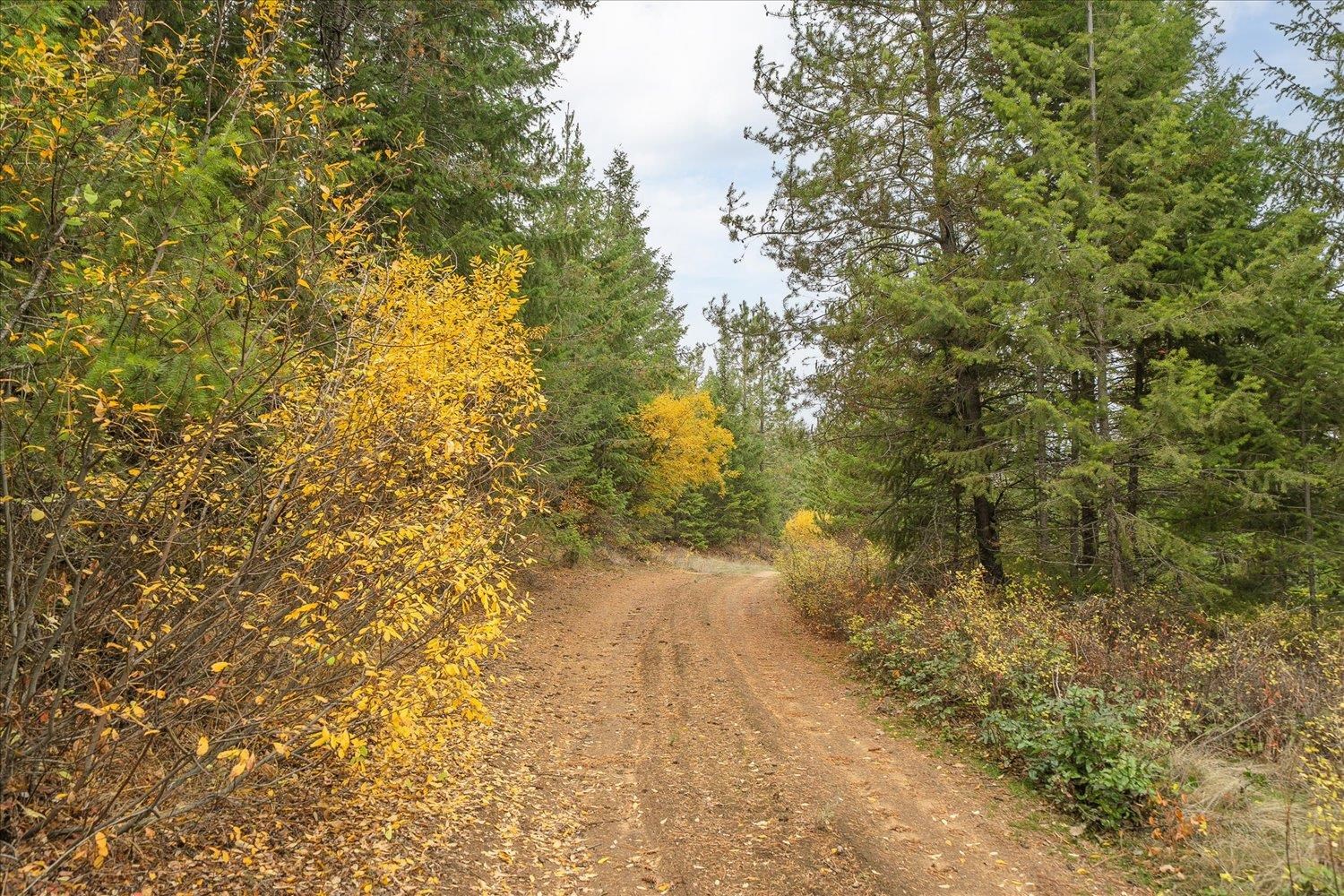 36022 North Milan Elk Road Chattaroy, WA 99003 - Photo 12 of 36