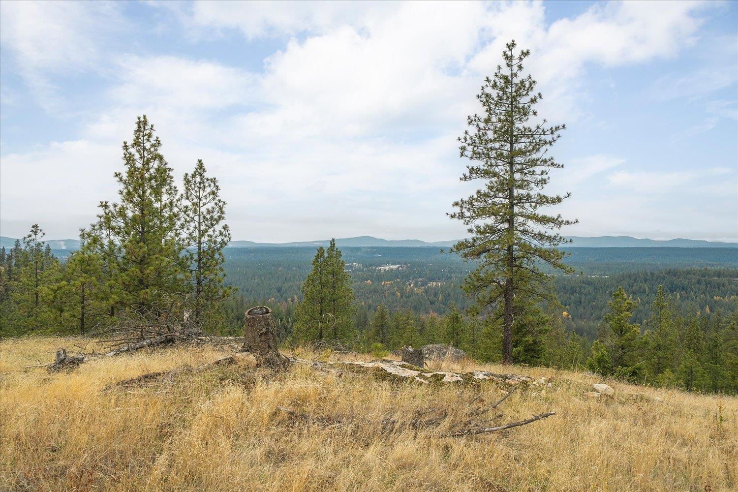 36022 North Milan Elk Road Chattaroy, WA 99003 - Photo 13 of 36