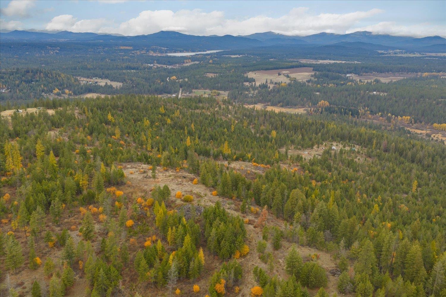 36022 North Milan Elk Road Chattaroy, WA 99003 - Photo 20 of 36