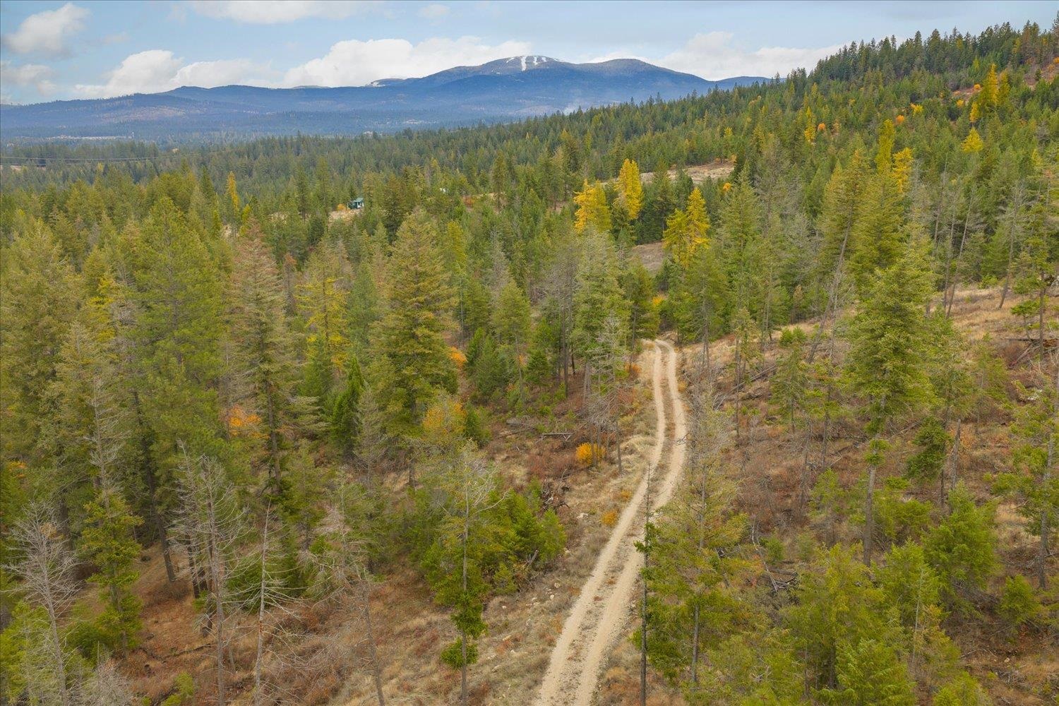 36022 North Milan Elk Road Chattaroy, WA 99003 - Photo 2 of 36