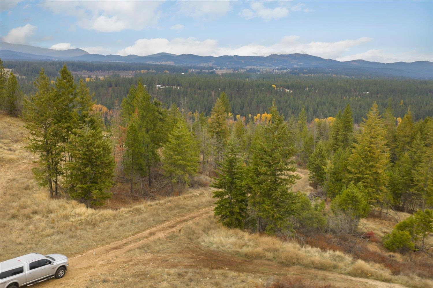 36022 North Milan Elk Road Chattaroy, WA 99003 - Photo 22 of 36