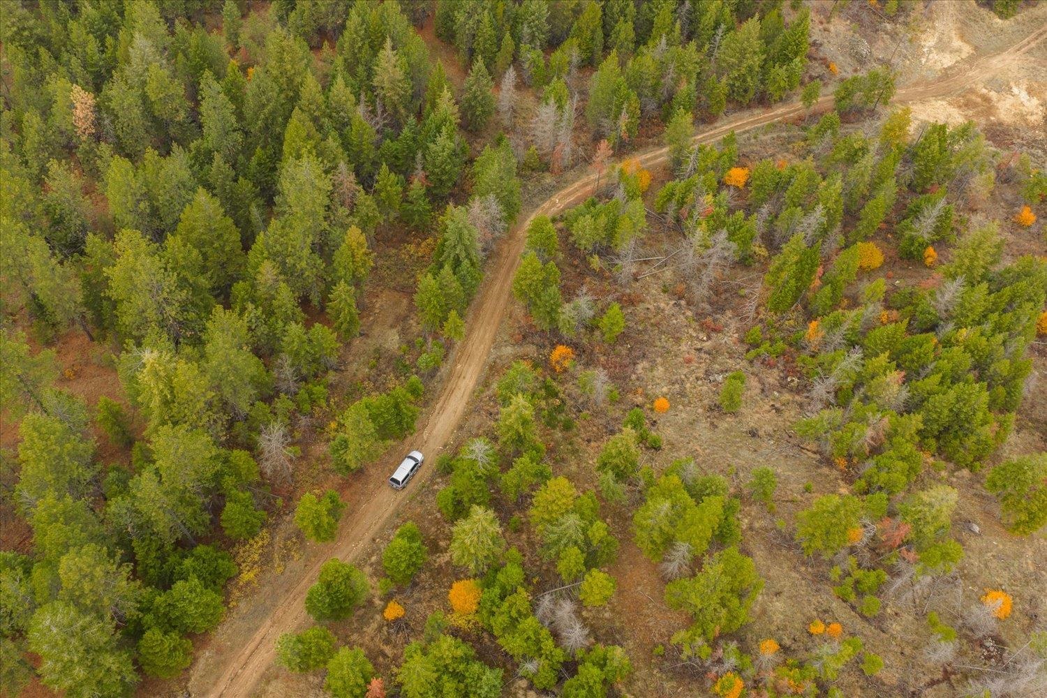 36022 North Milan Elk Road Chattaroy, WA 99003 - Photo 24 of 36