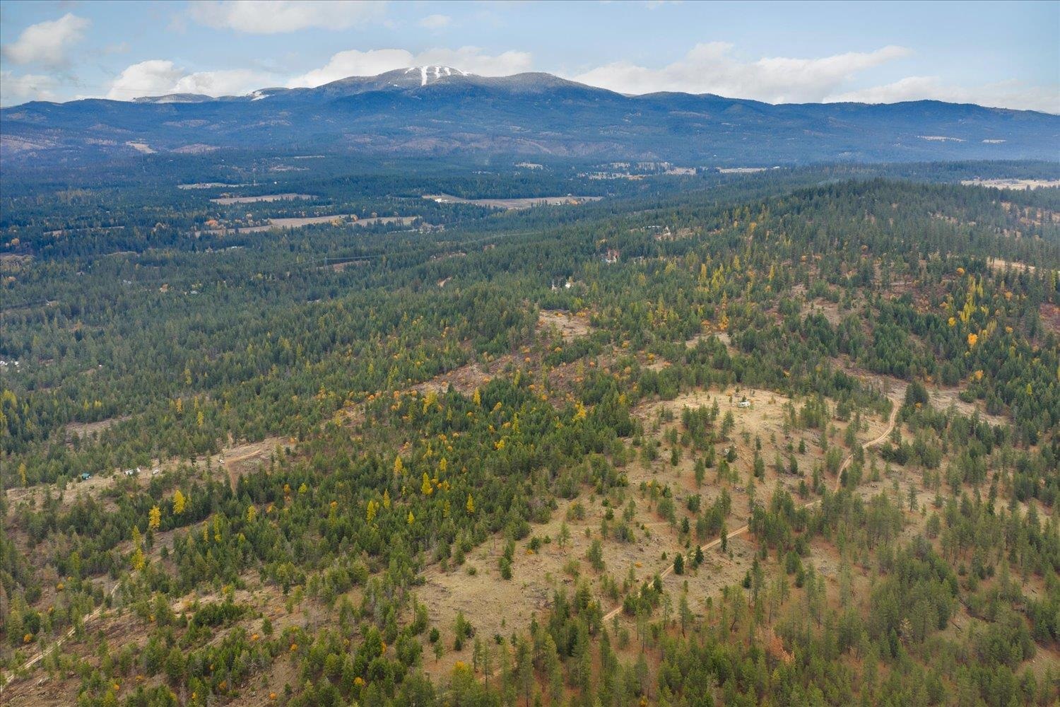 36022 North Milan Elk Road Chattaroy, WA 99003 - Photo 29 of 36