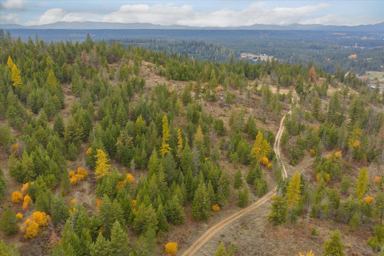 36022 North Milan Elk Road Chattaroy, WA 99003 - Photo 36 of 36