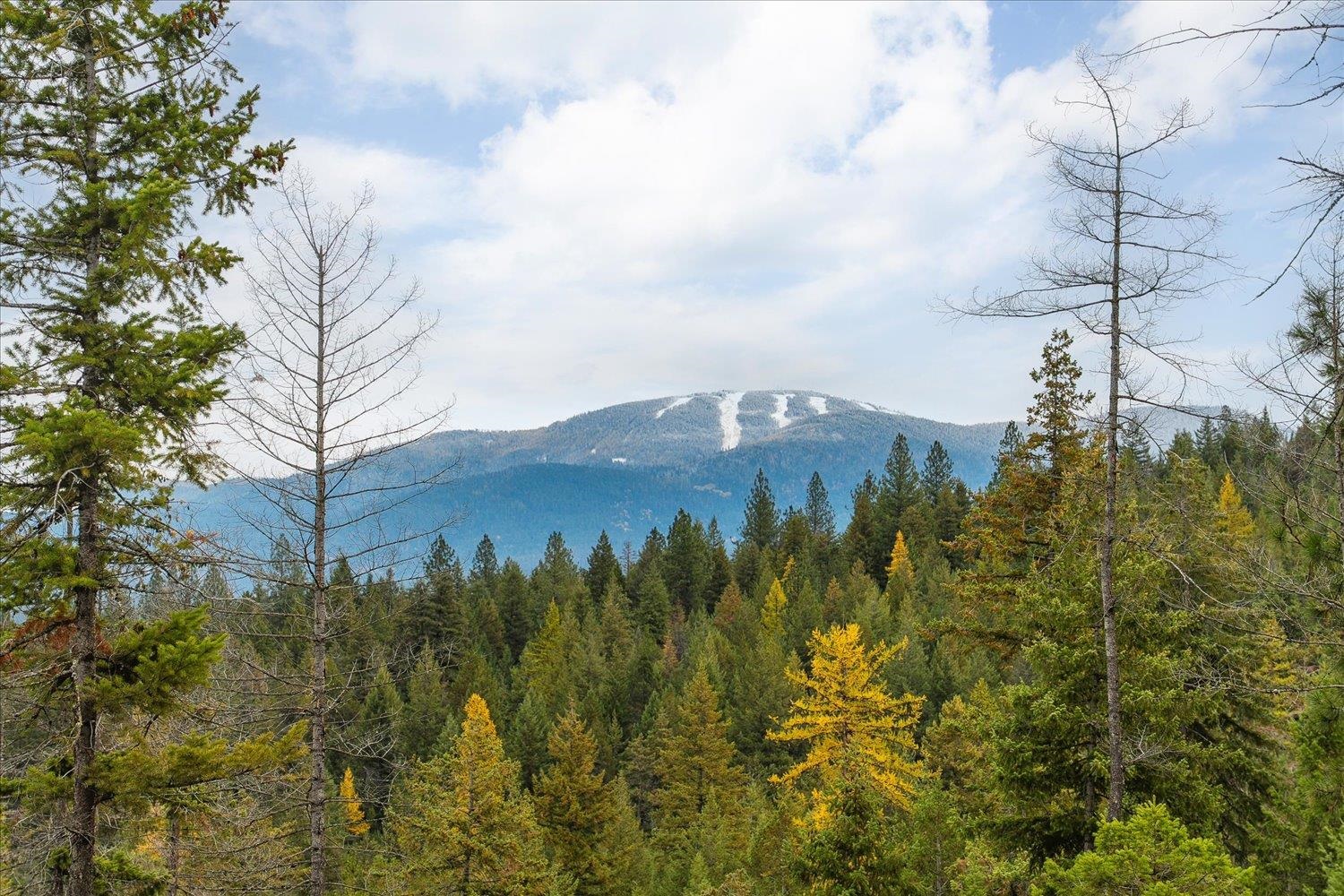 36022 North Milan Elk Road Chattaroy, WA 99003 - Photo 5 of 36