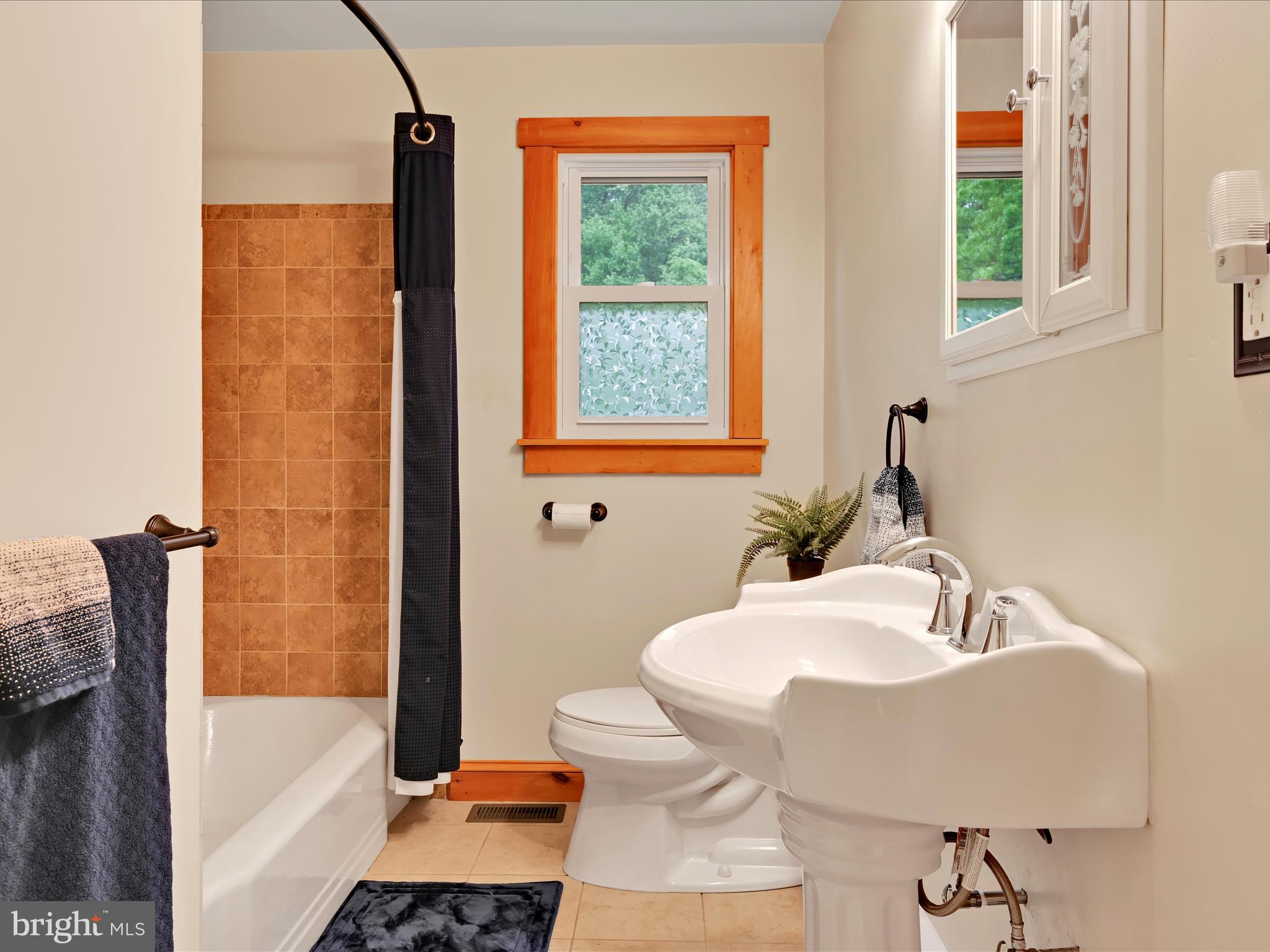 1553 St Peters Road Pottstown, PA 19465 - Photo 10 of 33 a bathroom with a sink toilet and bathtub