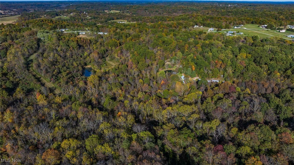 3278 Rough And Ready Road New Concord, OH 43762 - Photo 9 of 28 Aerial overview of property's location with a forest
