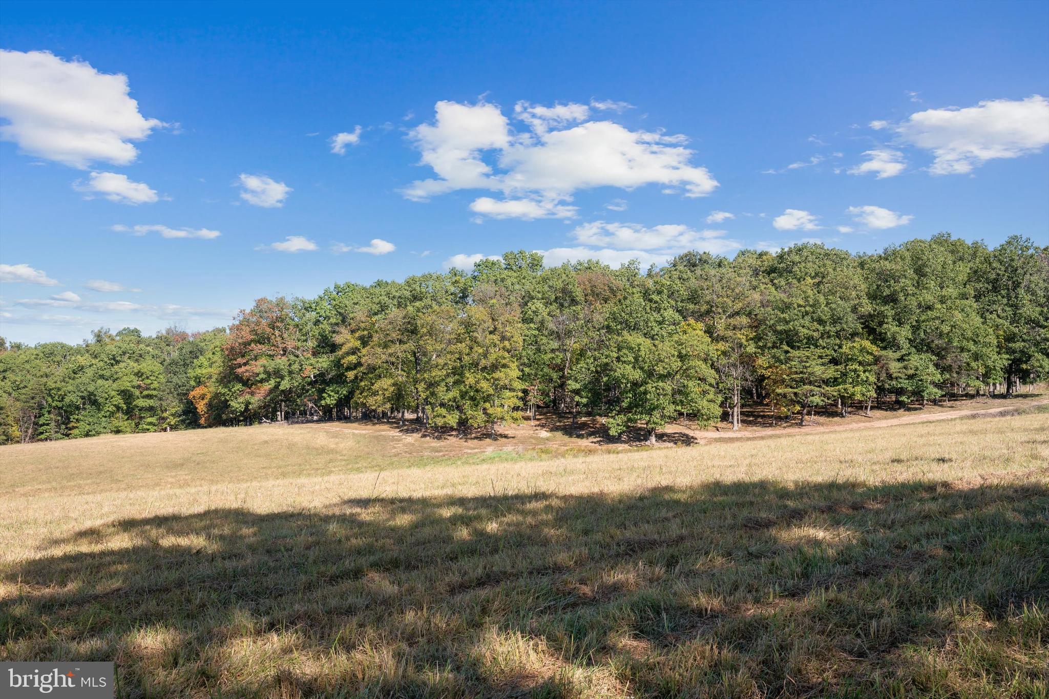 Lot 5 Gun Club Road Stephenson, VA 22656 - Photo 4 of 8 a view of a mountain view of a trees