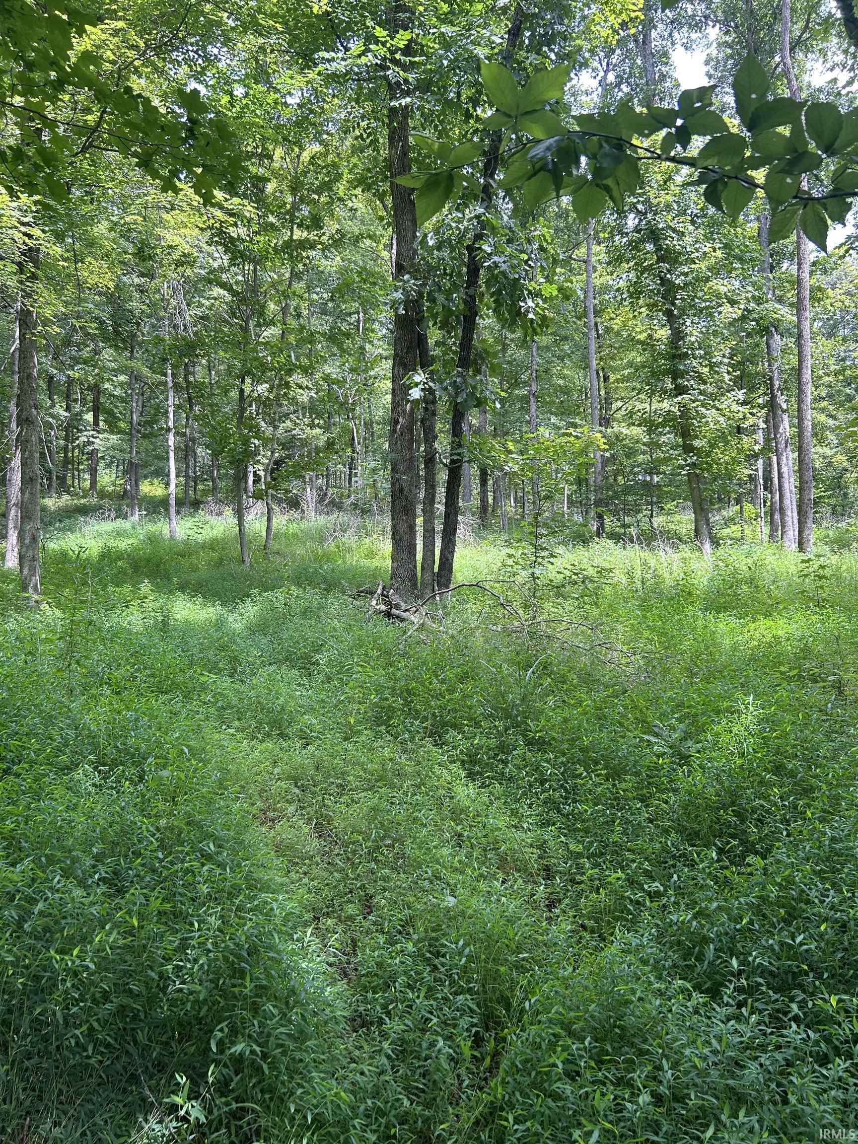 Apricot Road Bristow, IN 47515 - Photo 17 of 27