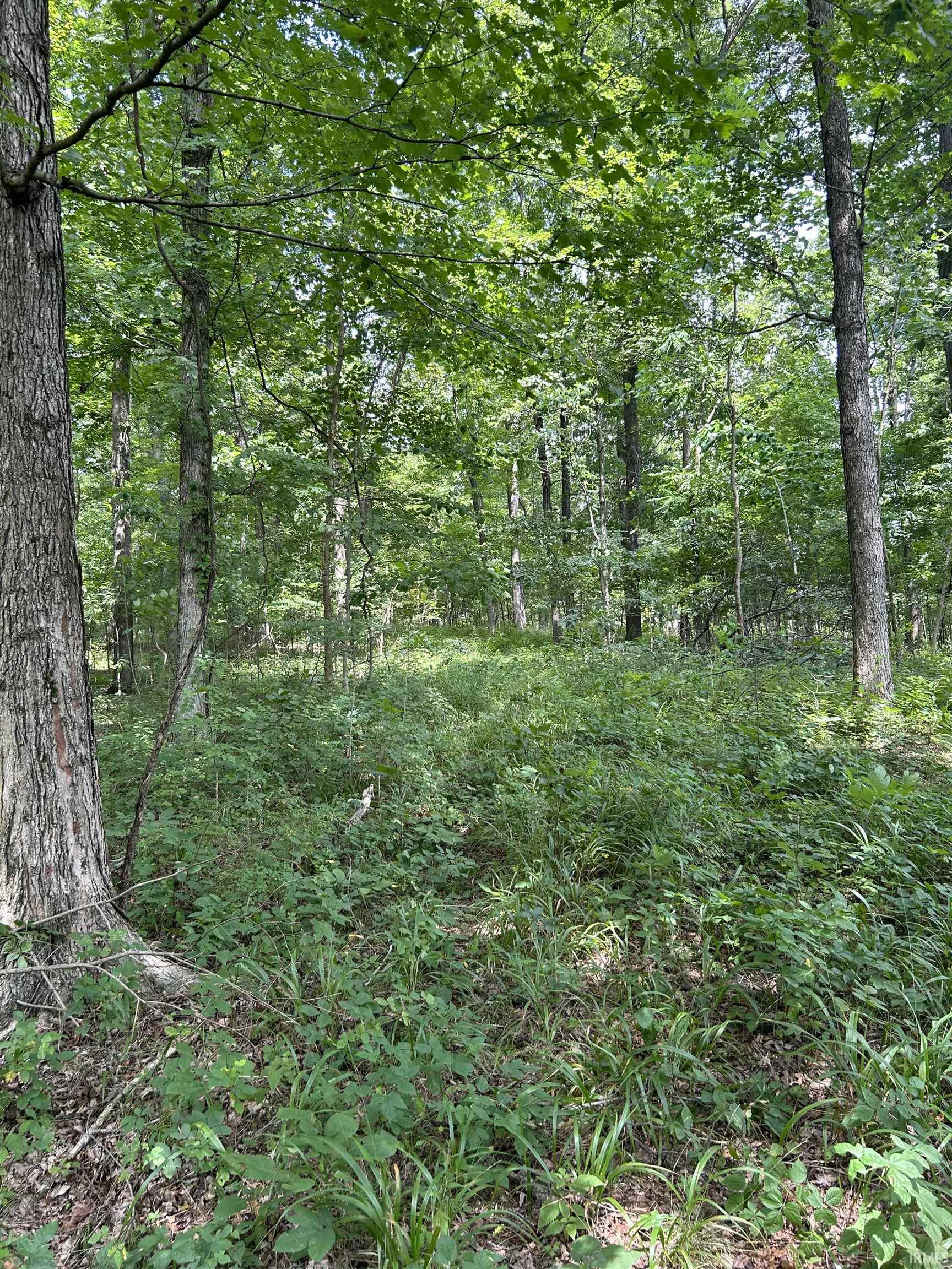 Apricot Road Bristow, IN 47515 - Photo 21 of 27