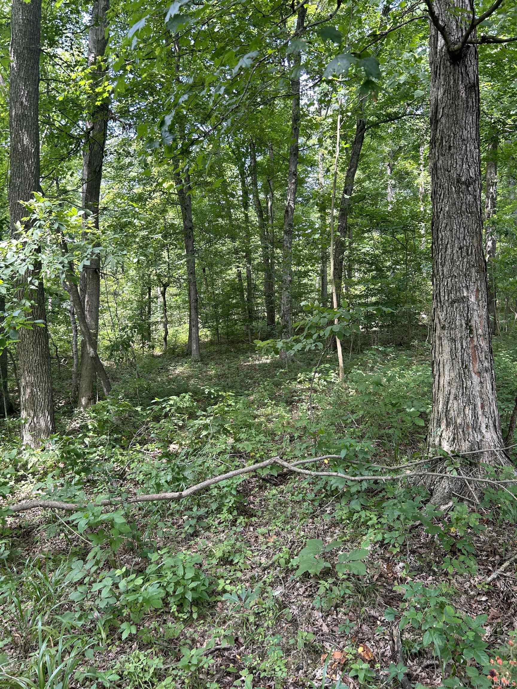 Apricot Road Bristow, IN 47515 - Photo 22 of 27