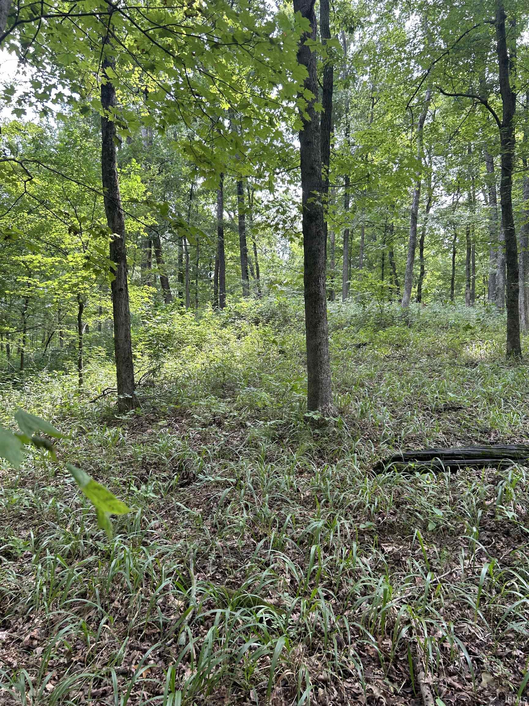 Apricot Road Bristow, IN 47515 - Photo 24 of 27