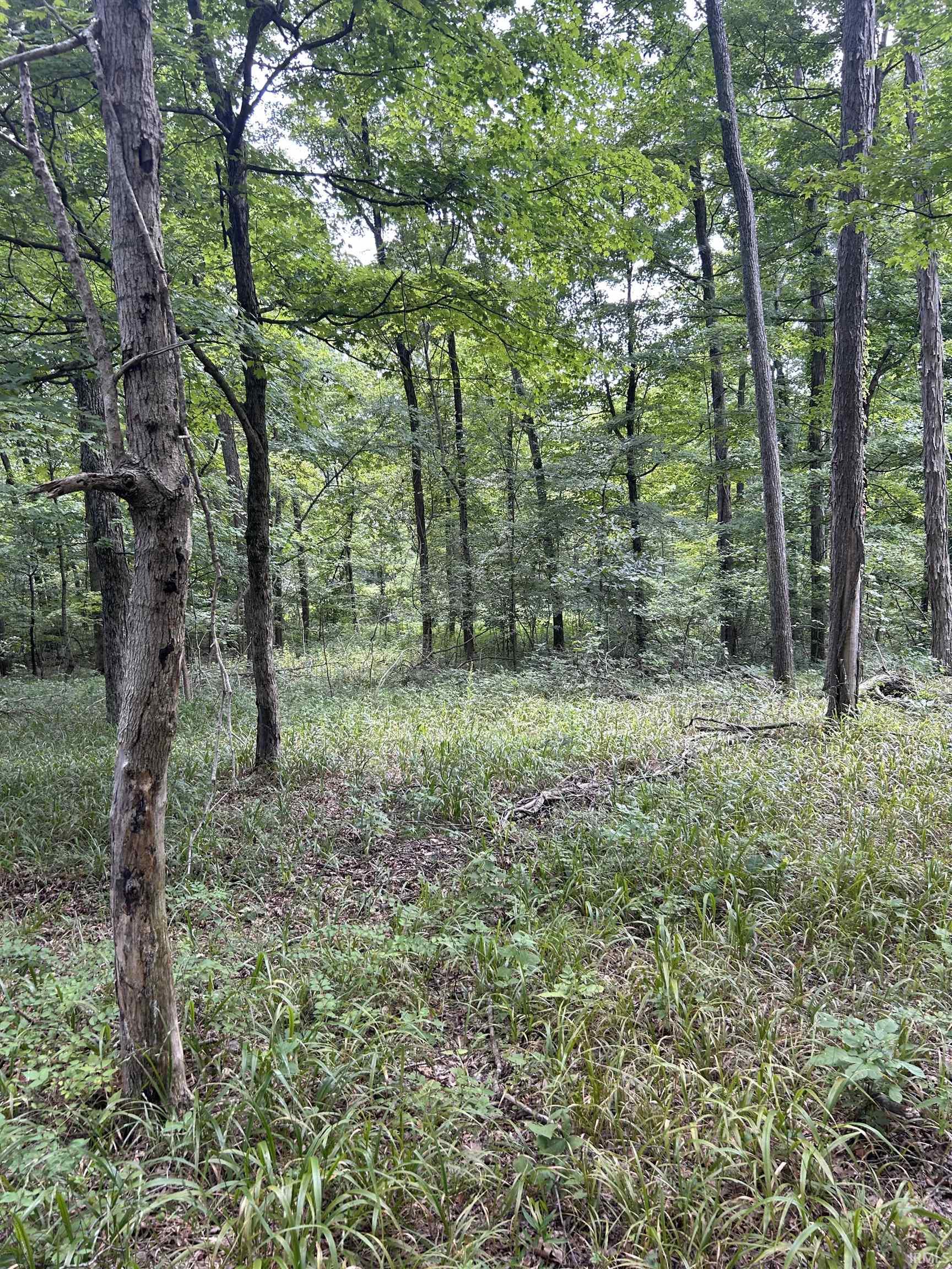 Apricot Road Bristow, IN 47515 - Photo 25 of 27