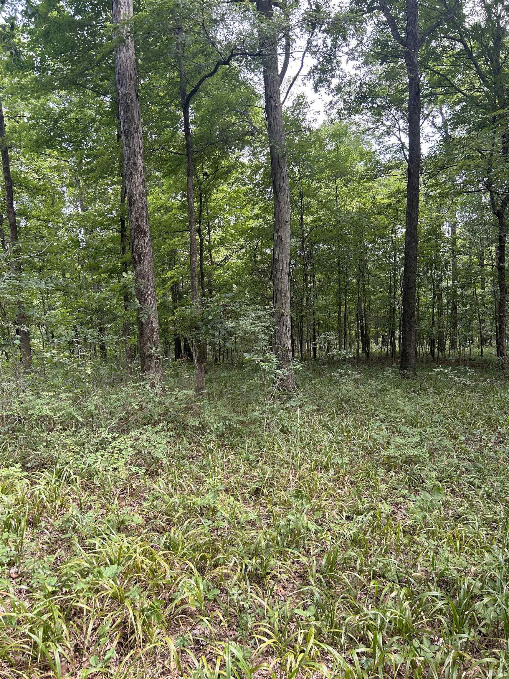 Apricot Road Bristow, IN 47515 - Photo 26 of 27
