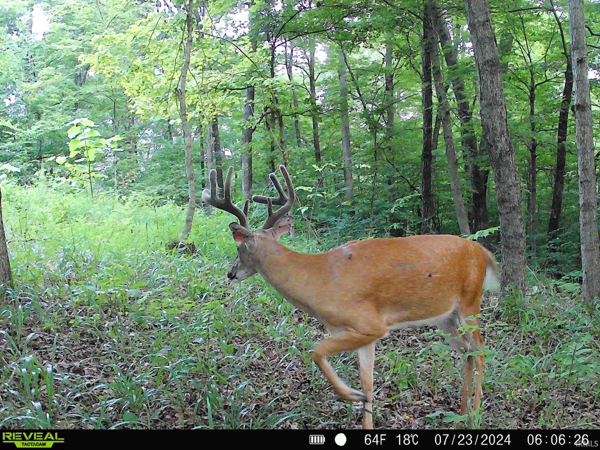 Apricot Road Bristow, IN 47515 - Photo 3 of 27