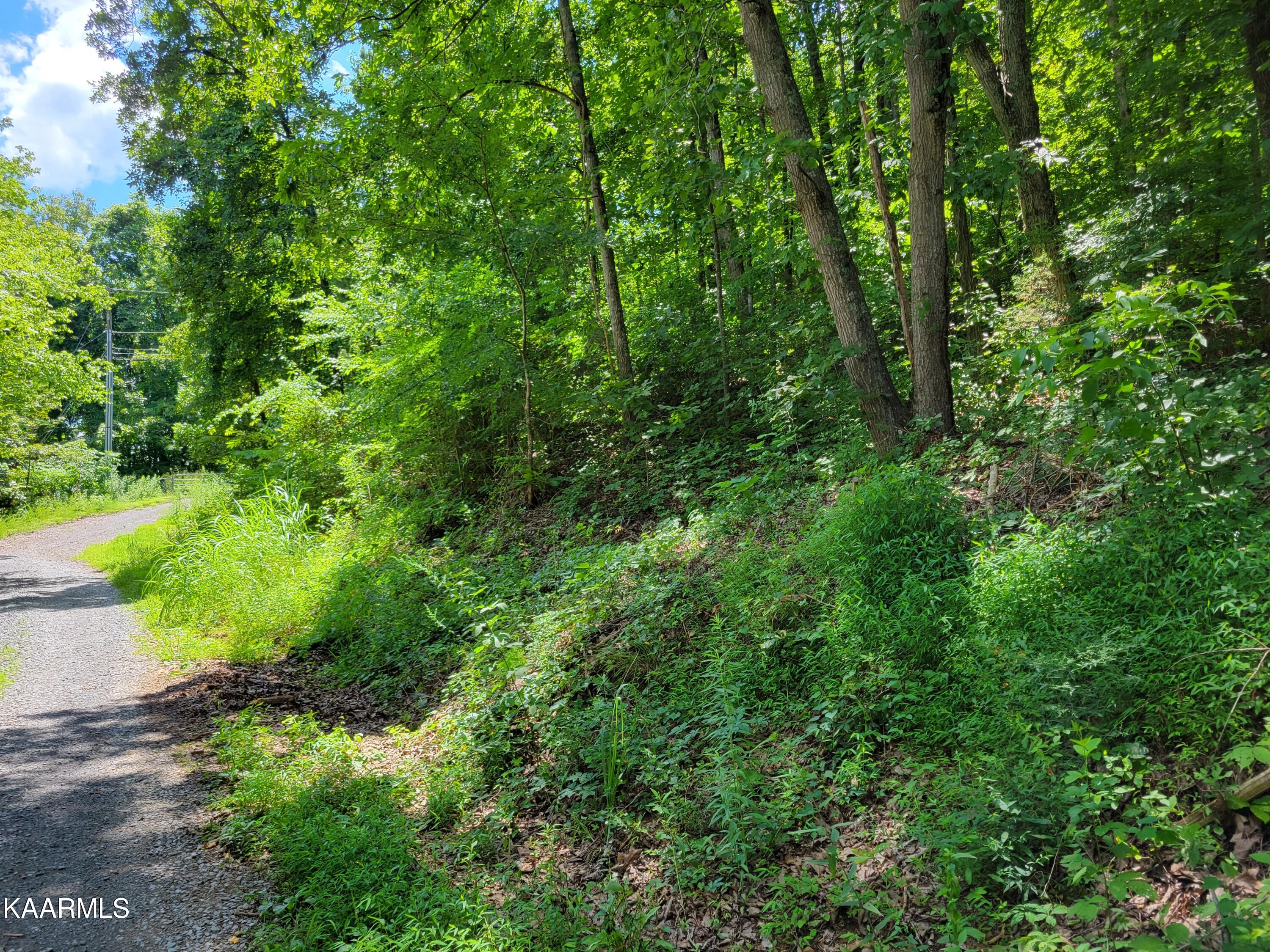 3.01 Creswell Road Seymour, TN 37865 - Photo 3 of 4 20220714_145410