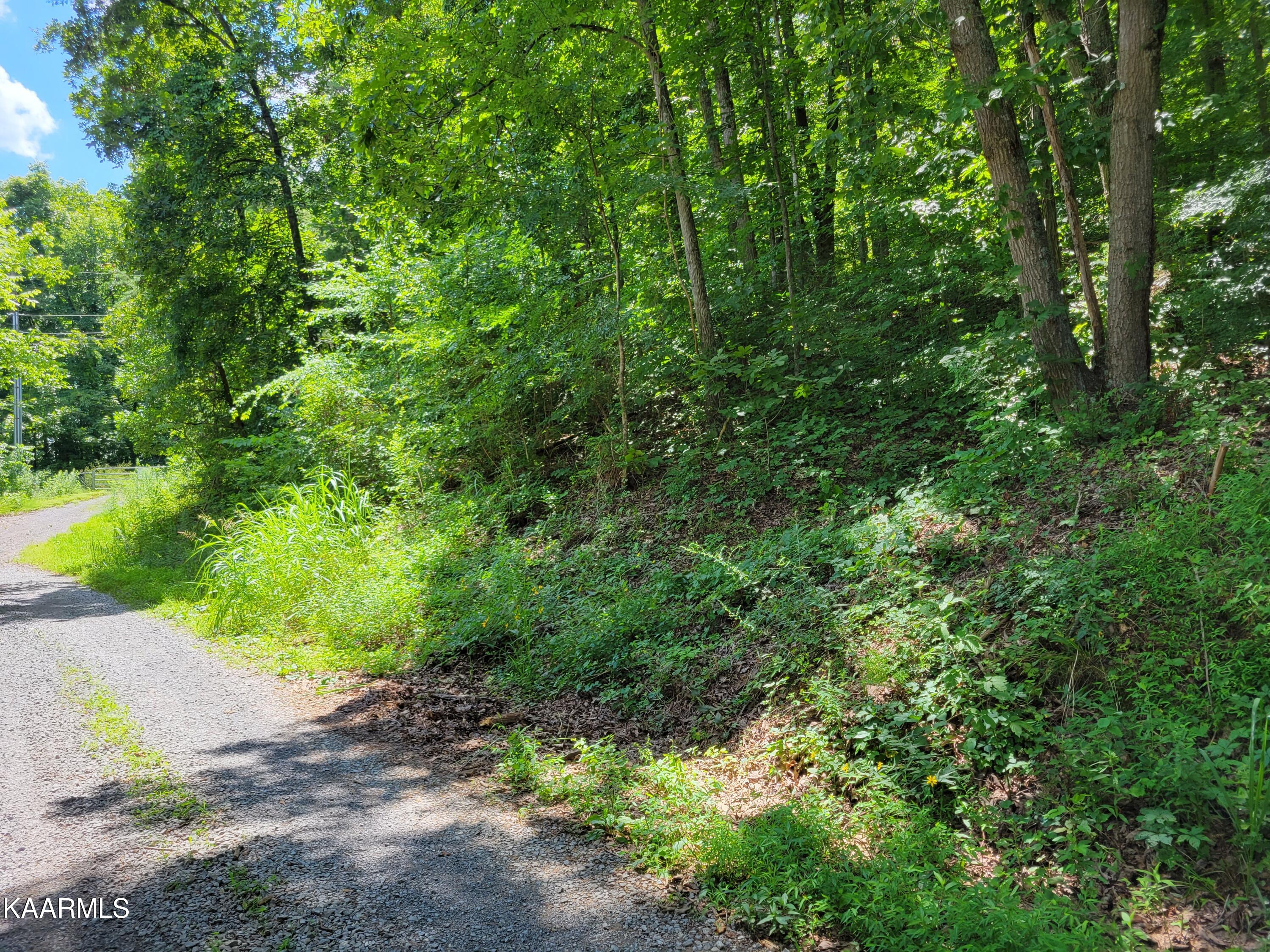 3.01 Creswell Road Seymour, TN 37865 - Photo 4 of 4 20220714_145424