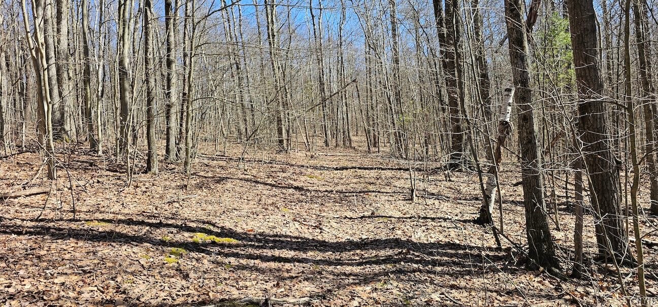 South Hill Road Van Etten, NY 14889 - Photo 26 of 34 Gallery Image 26