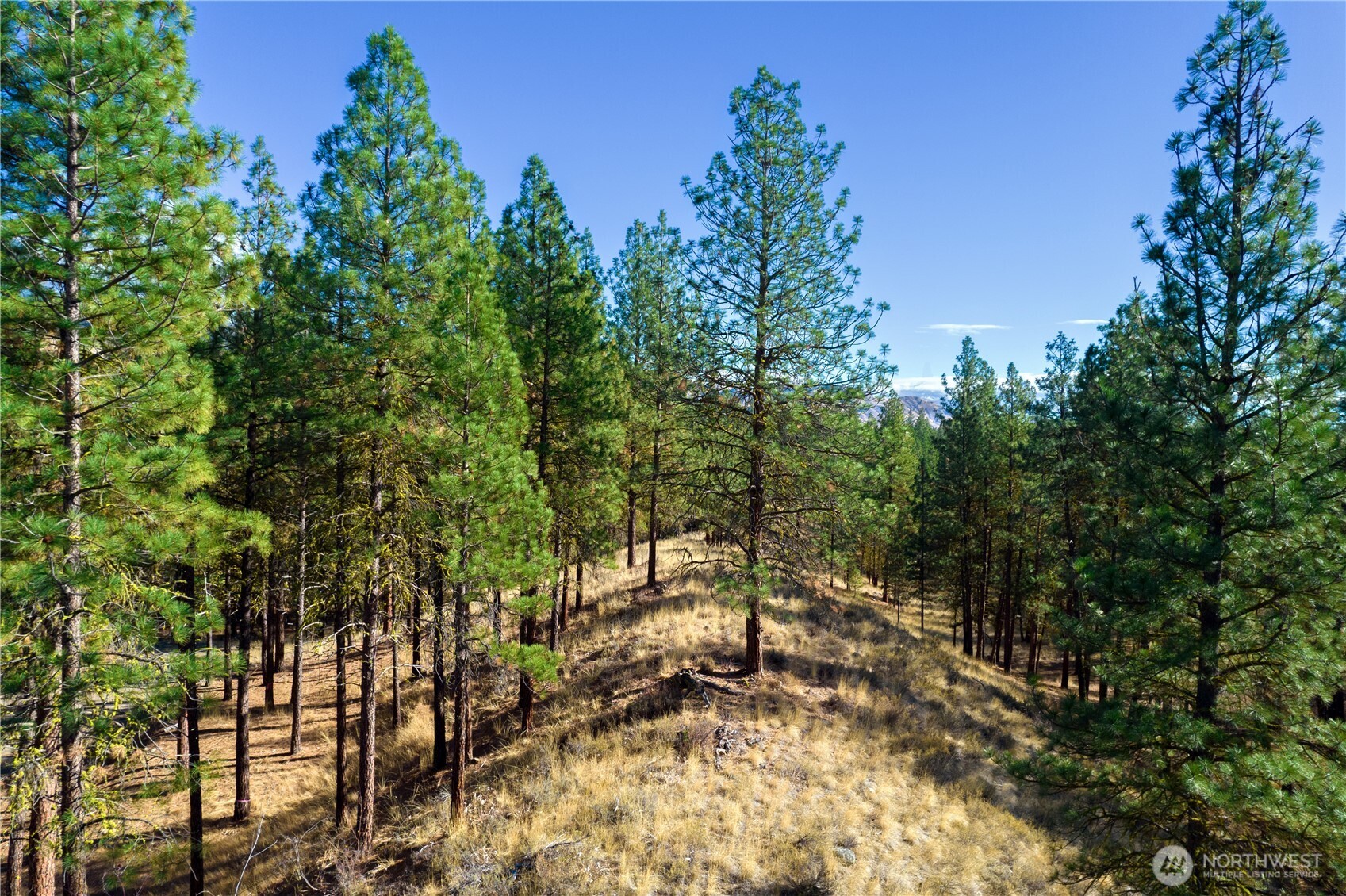 18 Wild Rose Road Winthrop, WA 98862 - Photo 27 of 37 Gallery Image 27