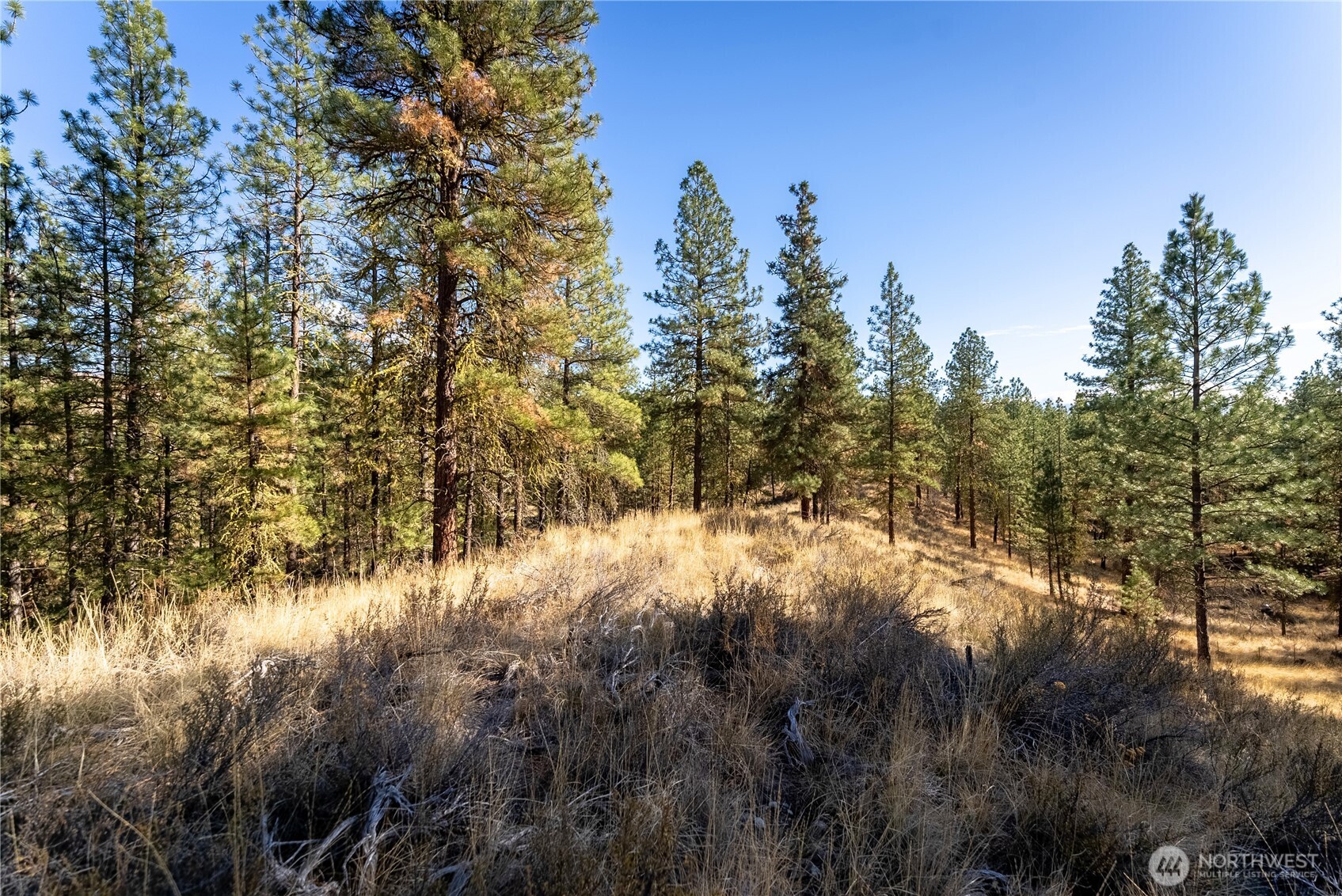 18 Wild Rose Road Winthrop, WA 98862 - Photo 31 of 37 Gallery Image 31