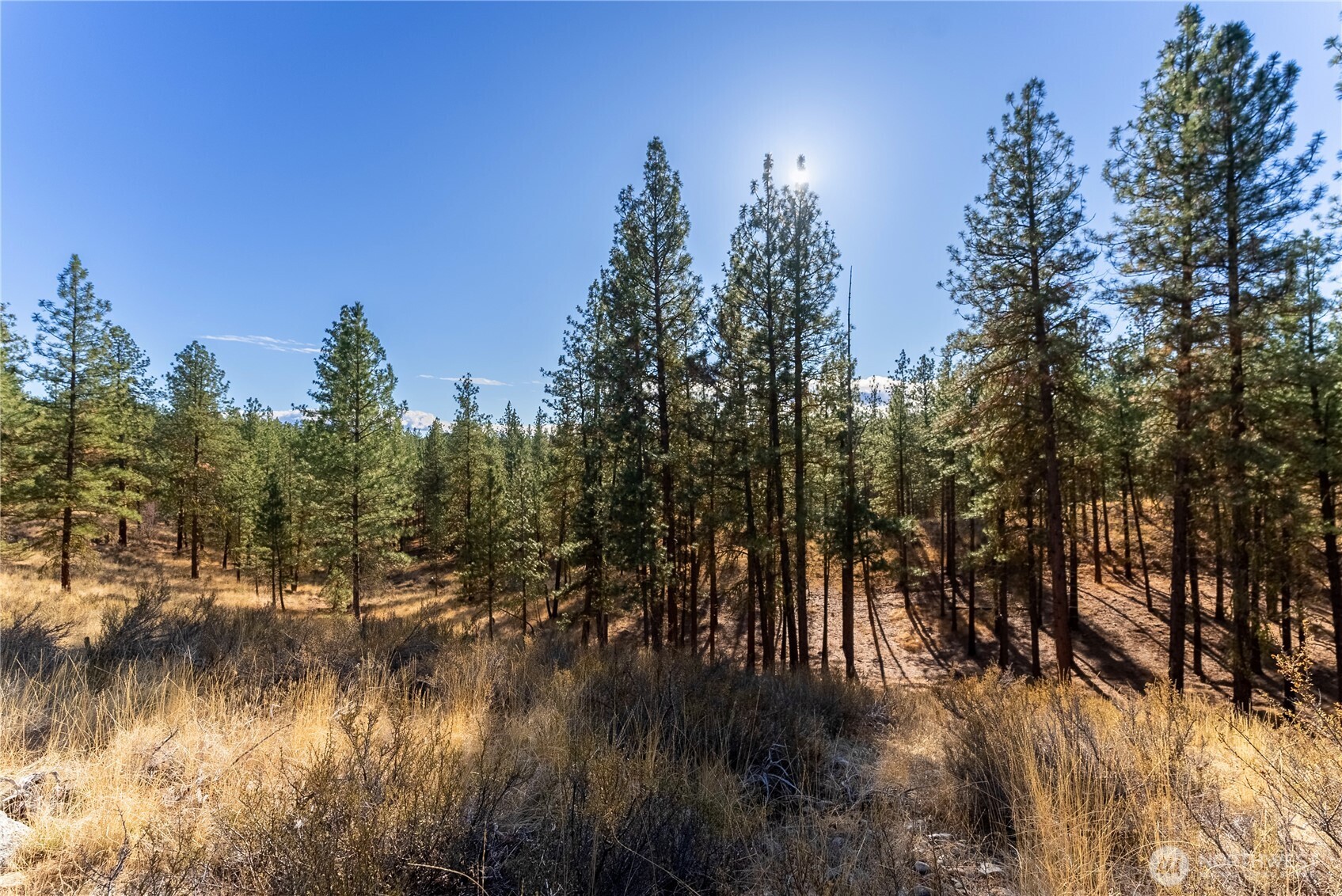 18 Wild Rose Road Winthrop, WA 98862 - Photo 32 of 37 Gallery Image 32