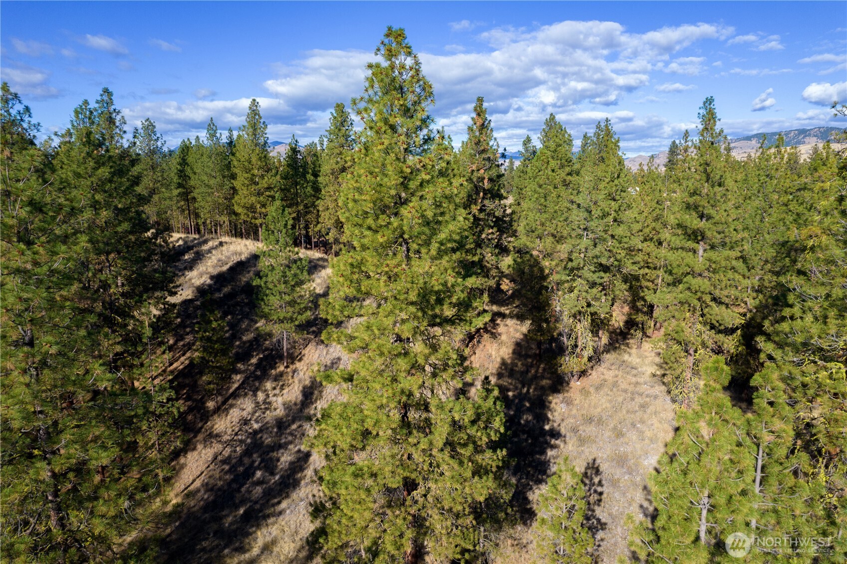 18 Wild Rose Road Winthrop, WA 98862 - Photo 5 of 37 Gallery Image 5