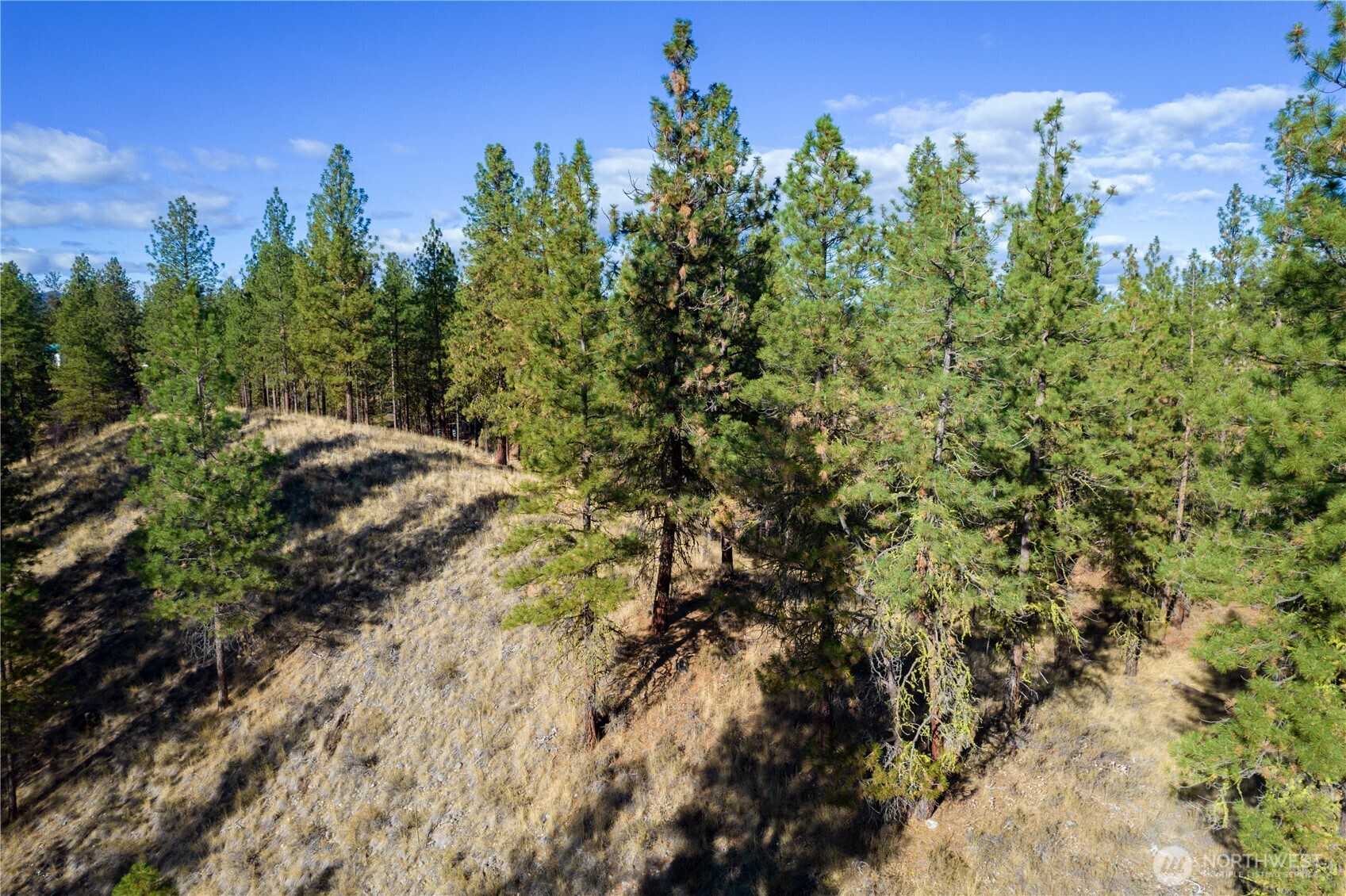 18 Wild Rose Road Winthrop, WA 98862 - Photo 6 of 37 Gallery Image 6