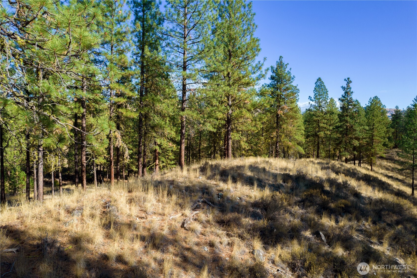 18 Wild Rose Road Winthrop, WA 98862 - Photo 7 of 37 Gallery Image 7