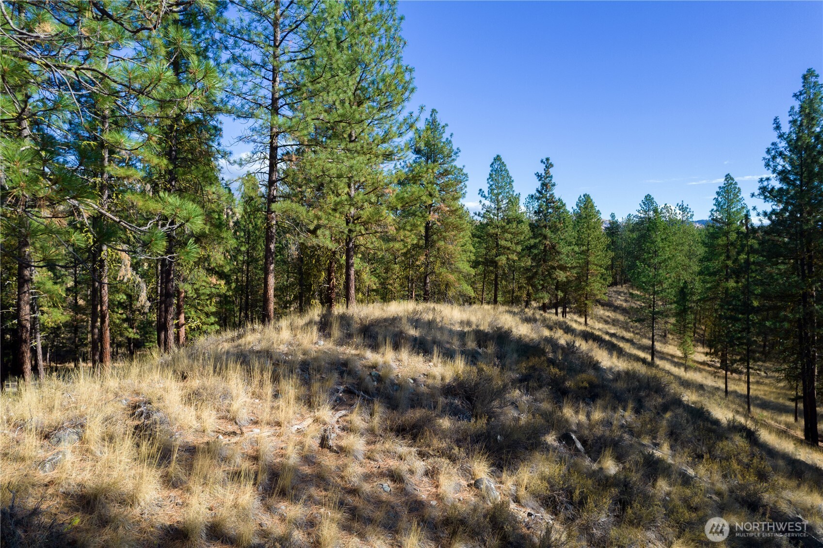 18 Wild Rose Road Winthrop, WA 98862 - Photo 8 of 37 Gallery Image 8