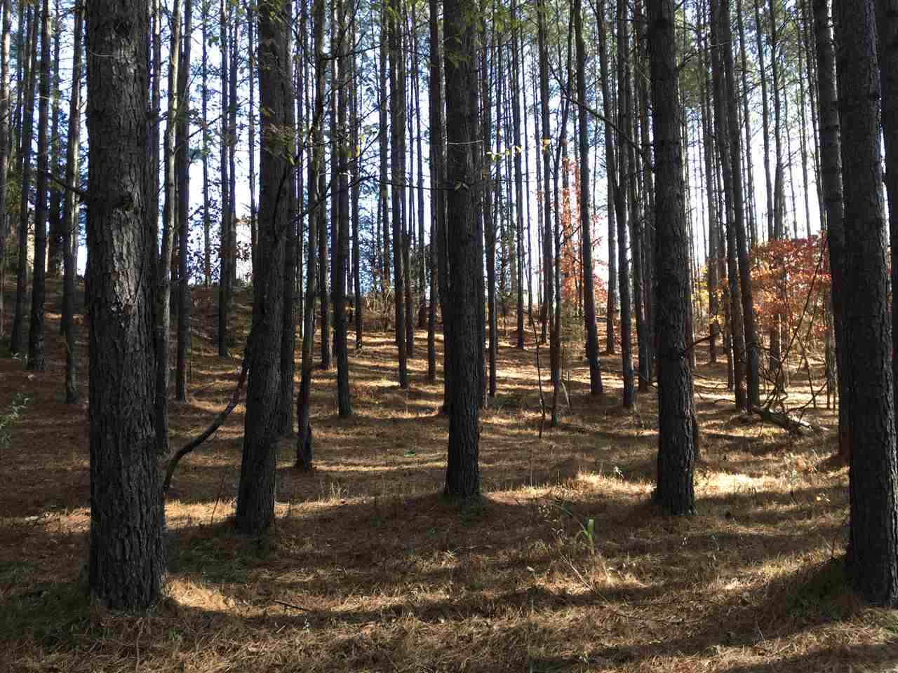 Lot 129 Catawba Road Gaffney, SC 29341 - Photo 6 of 11