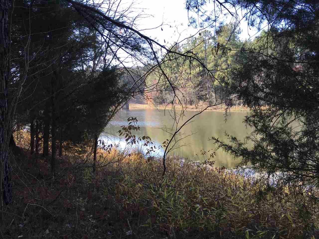 Lot 129 Catawba Road Gaffney, SC 29341 - Photo 8 of 11