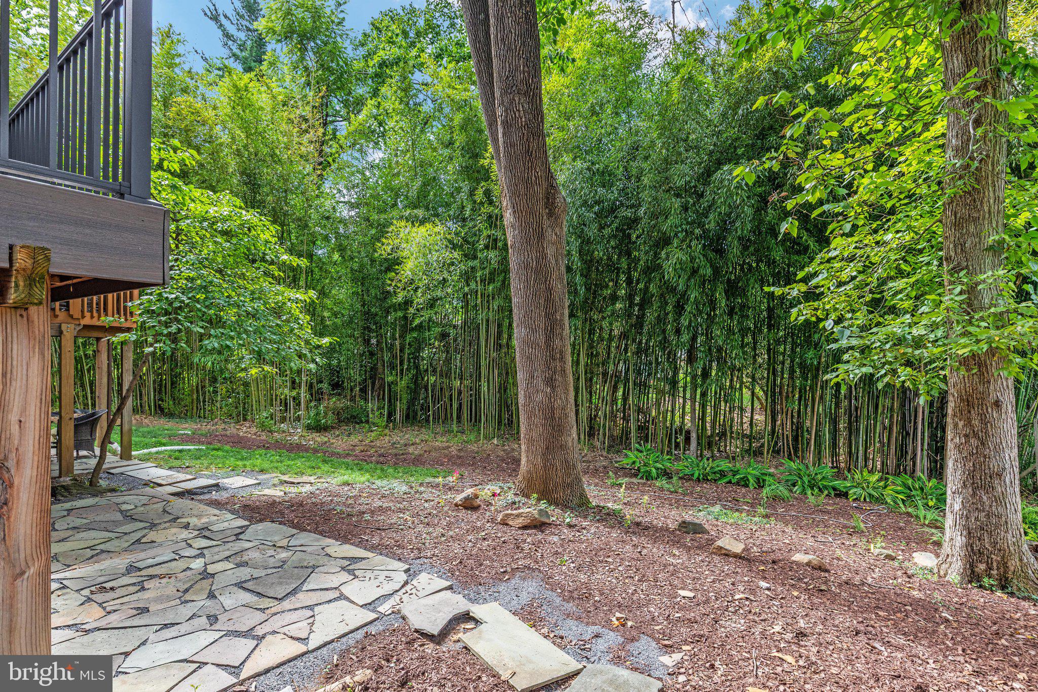 5707 Halpine Road Rockville, MD 20851 - Photo 37 of 51 Gallery Image 37