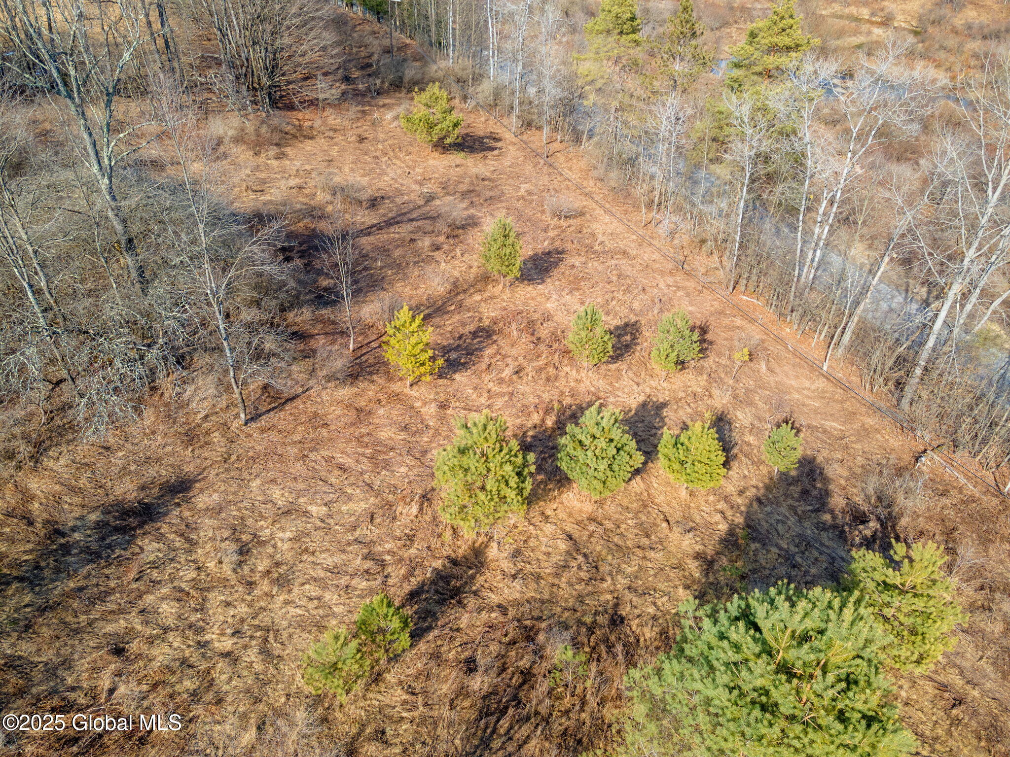 L20.2 Indian Brook Road Greene, NY 13778 - Photo 12 of 21 11-IndianBrookRd_11