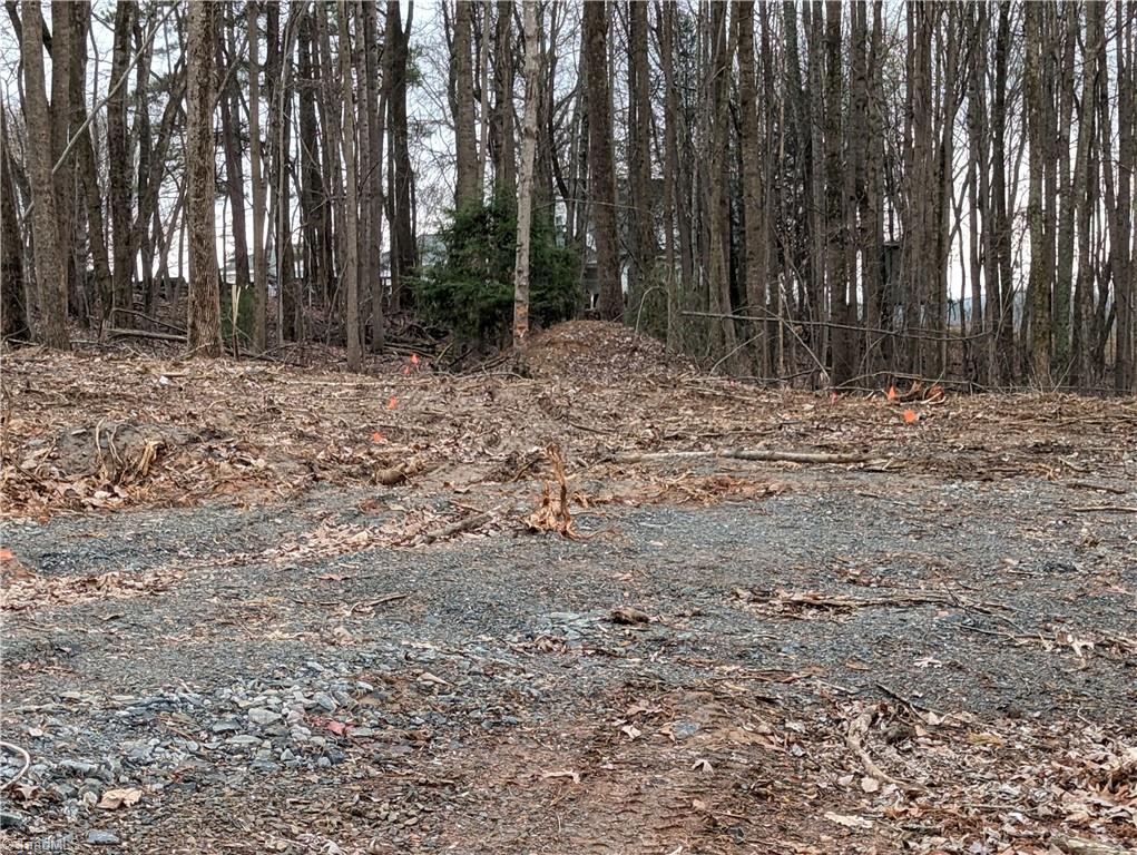 Tbd Laurelwood Road State Road, NC 28676 - Photo 3 of 8 Gallery Image 3