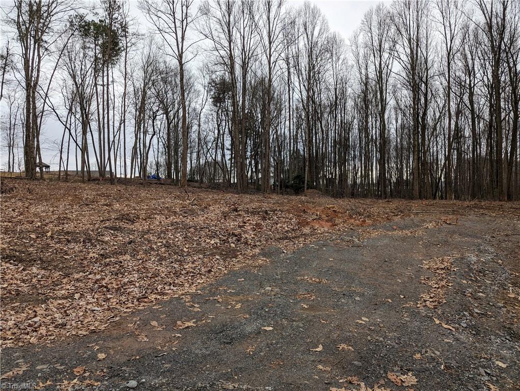 Tbd Laurelwood Road State Road, NC 28676 - Photo 6 of 8 Gallery Image 6