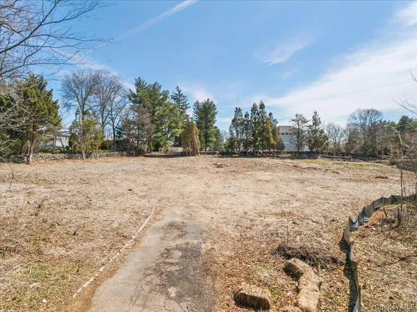 a view of road with trees in the background