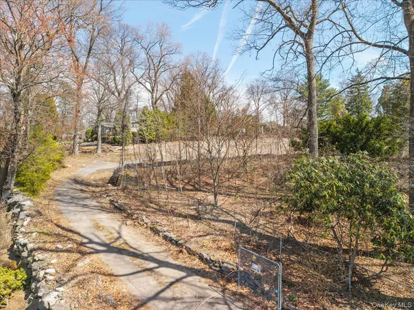 a view of a yard with trees
