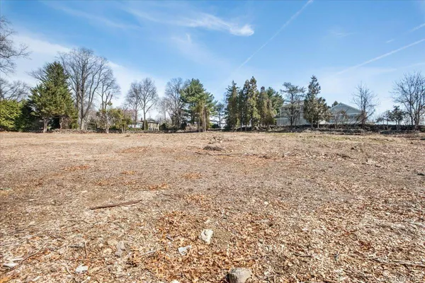 a view of empty field with trees in the background