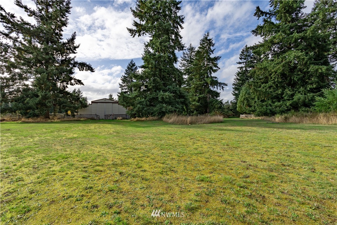18703 Joselyn Road Southwest Rochester, WA 98579 - Photo 37 of 40 a view of a field with an trees