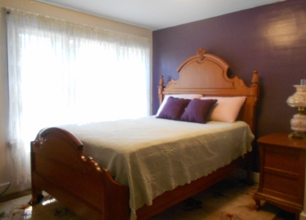 248 Rockingham Avenue Alma, MI 48801 - Photo 11 of 21 1849726-10.JPG