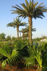 31 Palmetto Kenner, LA 70065 - Photo 2 of 7