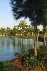 31 Palmetto Kenner, LA 70065 - Photo 5 of 7