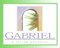 31 Palmetto Kenner, LA 70065 - Photo 7 of 7