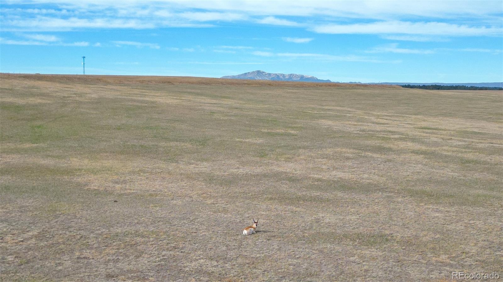 2 County Road 94 Elbert, CO 80106 - Photo 11 of 20 a view of an ocean beach and mountain