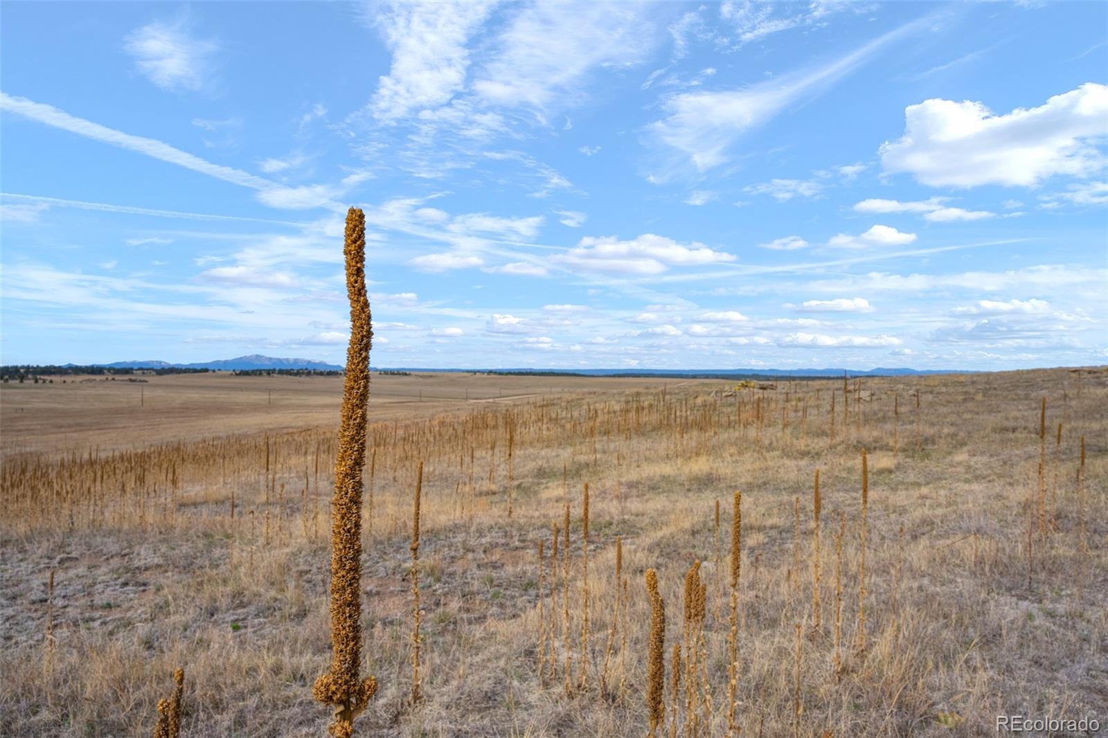2 County Road 94 Elbert, CO 80106 - Photo 17 of 20 a view of a terrace view