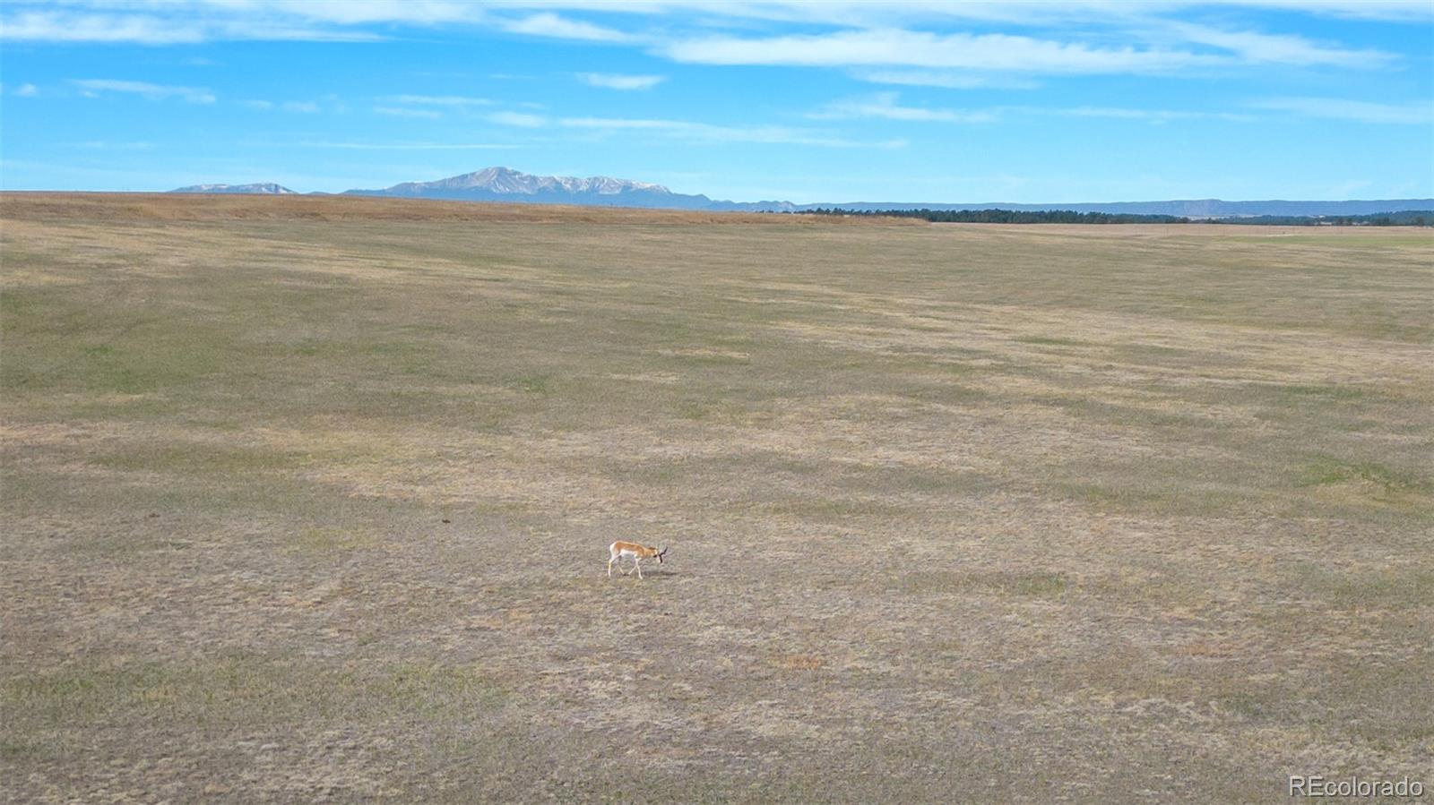 2 County Road 94 Elbert, CO 80106 - Photo 10 of 20 a view of an ocean