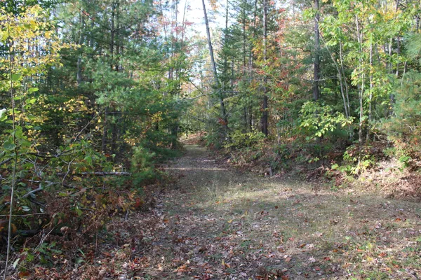 $495,000 | 22006 Bowden Trail, Hillman, MI 49746