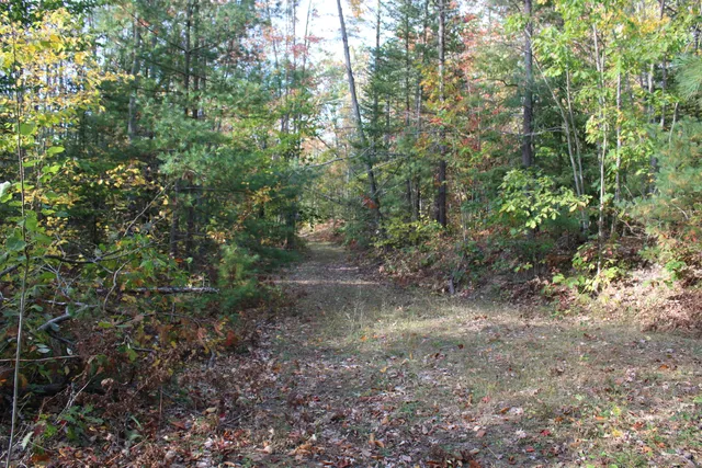 $495,000 | 22006 Bowden Trail, Hillman, MI 49746